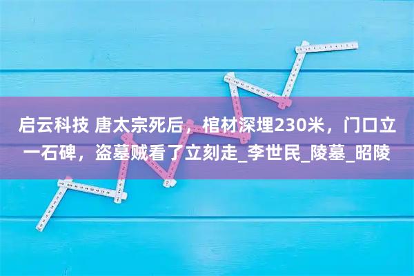 启云科技 唐太宗死后,棺材深埋230米,门口立一石碑,盗墓贼看了立刻走_李世民_陵墓_昭陵