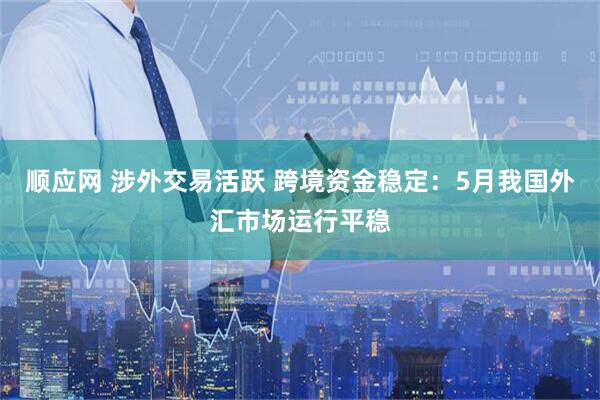 顺应网 涉外交易活跃 跨境资金稳定：5月我国外汇市场运行平稳